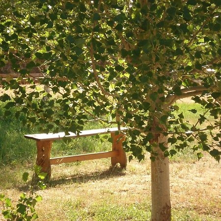 Masia El Carcaba - Moli Del Pont. Cornudella de Montsant Bagian luar foto