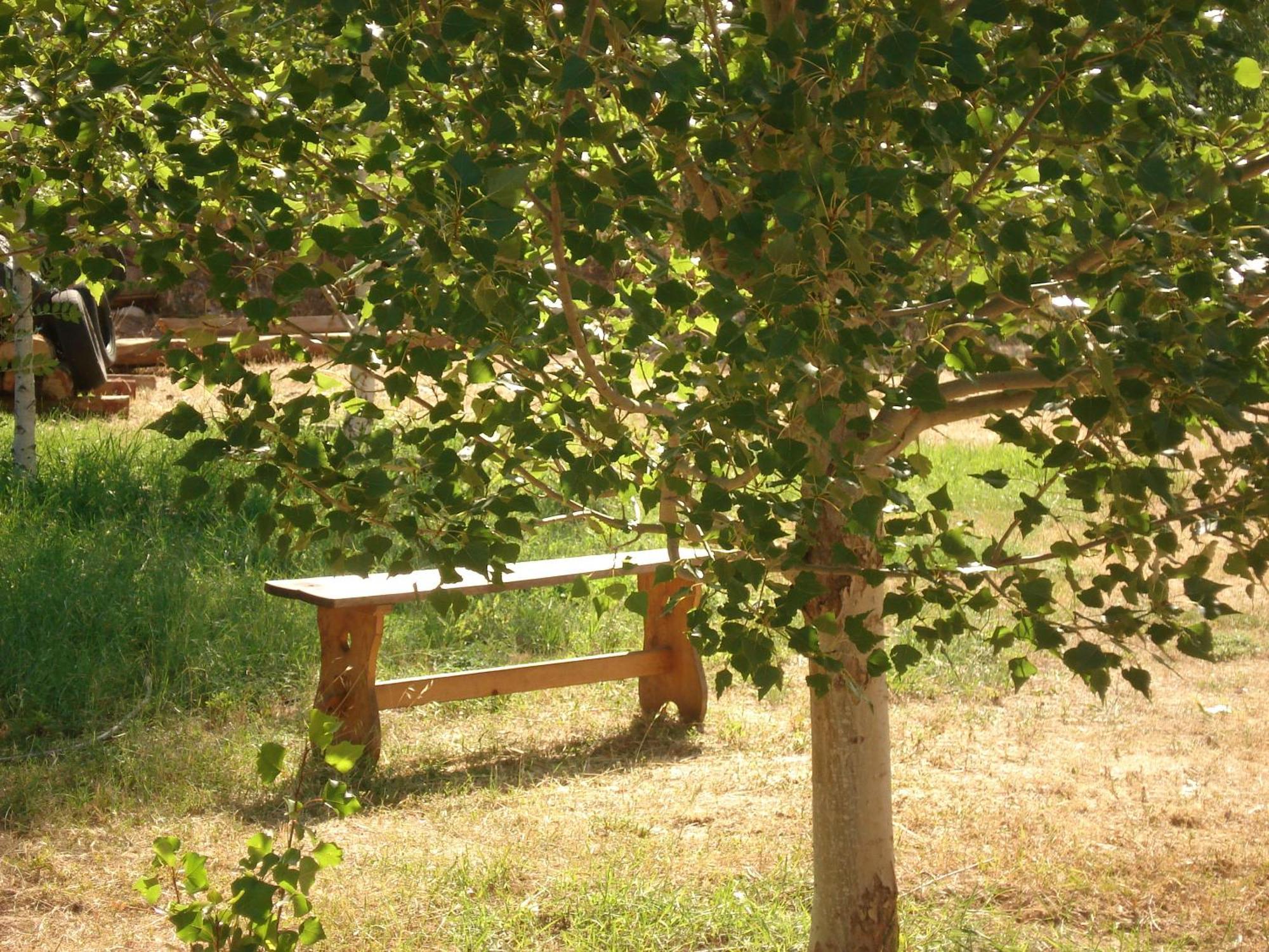 Masia El Carcaba - Moli Del Pont. Cornudella de Montsant Bagian luar foto