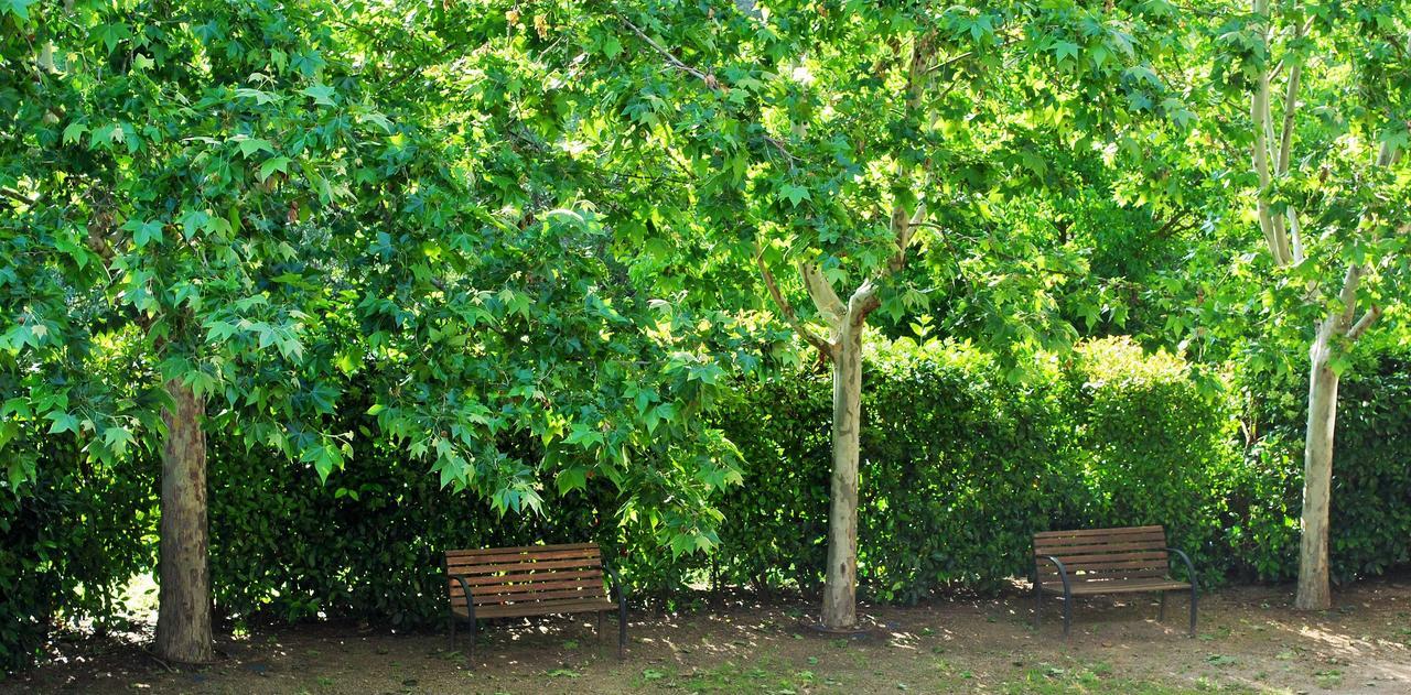 Masia El Carcaba - Moli Del Pont. Cornudella de Montsant Bagian luar foto