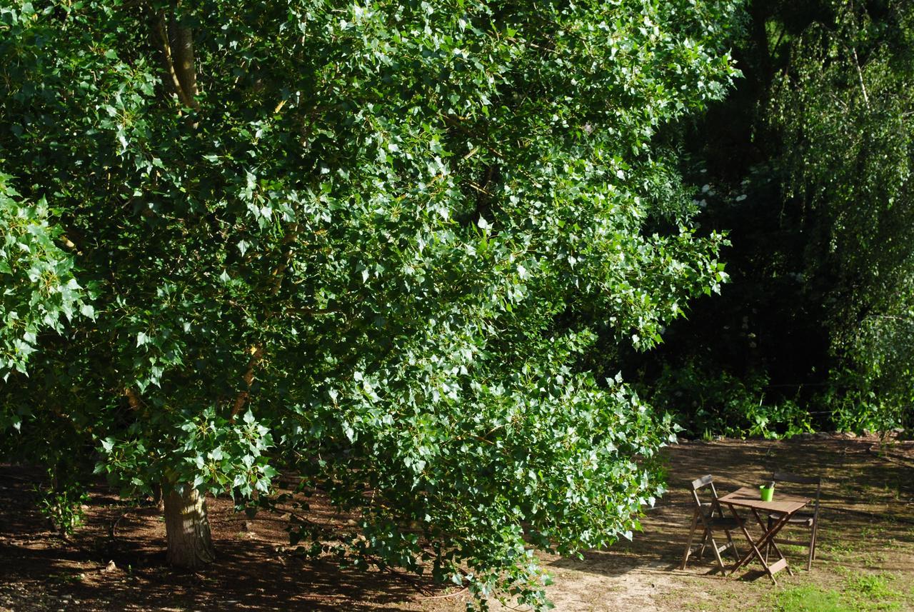 Masia El Carcaba - Moli Del Pont. Cornudella de Montsant Bagian luar foto