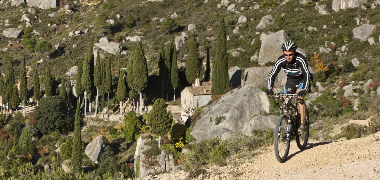 Masia El Carcaba - Moli Del Pont. Cornudella de Montsant Bagian luar foto