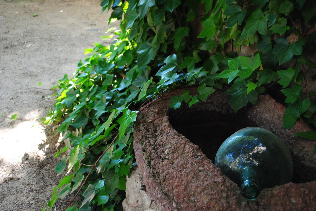 Masia El Carcaba - Moli Del Pont. Cornudella de Montsant Bagian luar foto